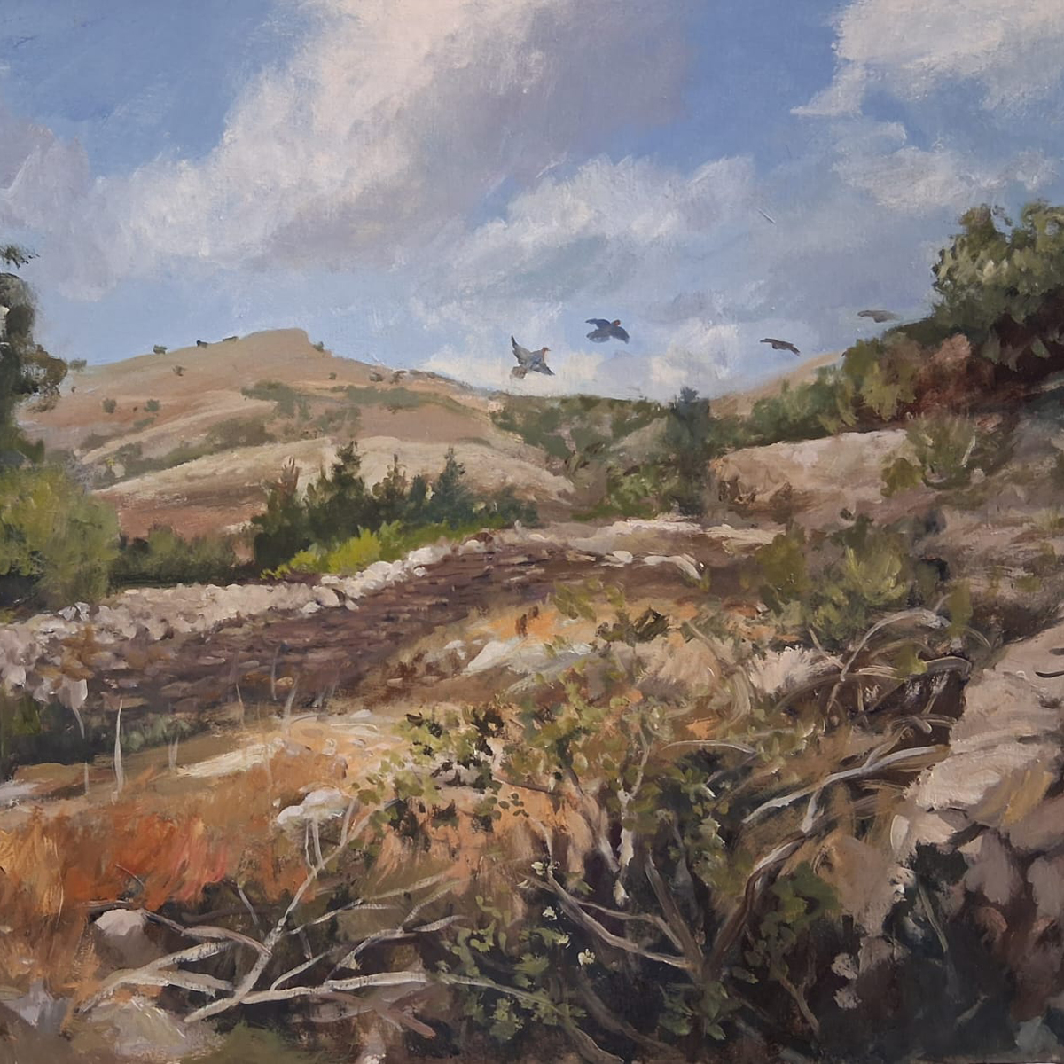 Partridges