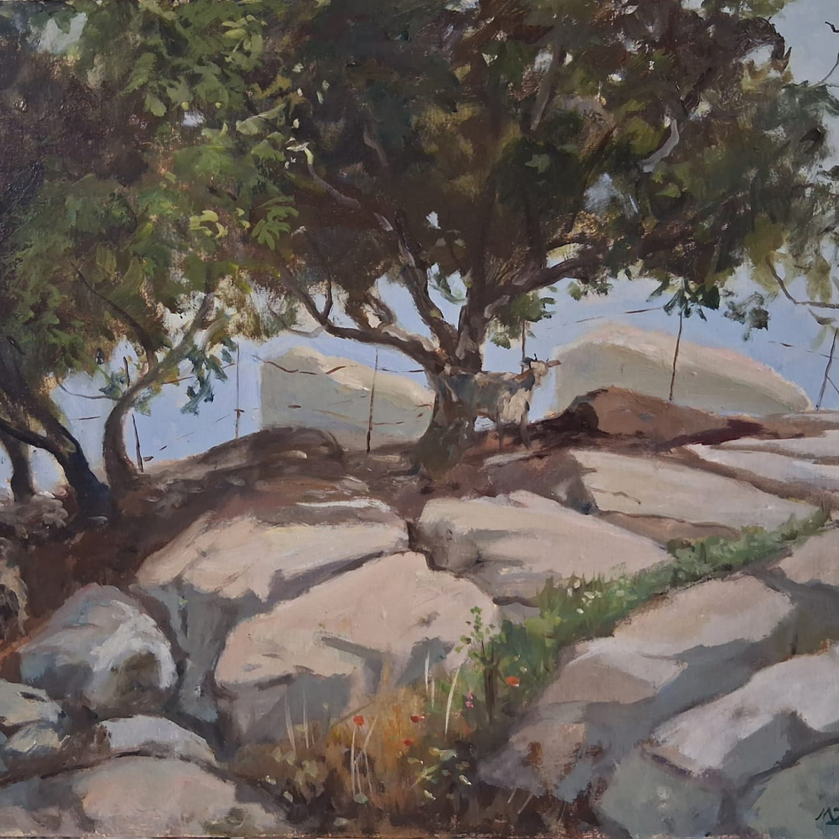 A shady Refuge