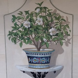 White Hibiscus